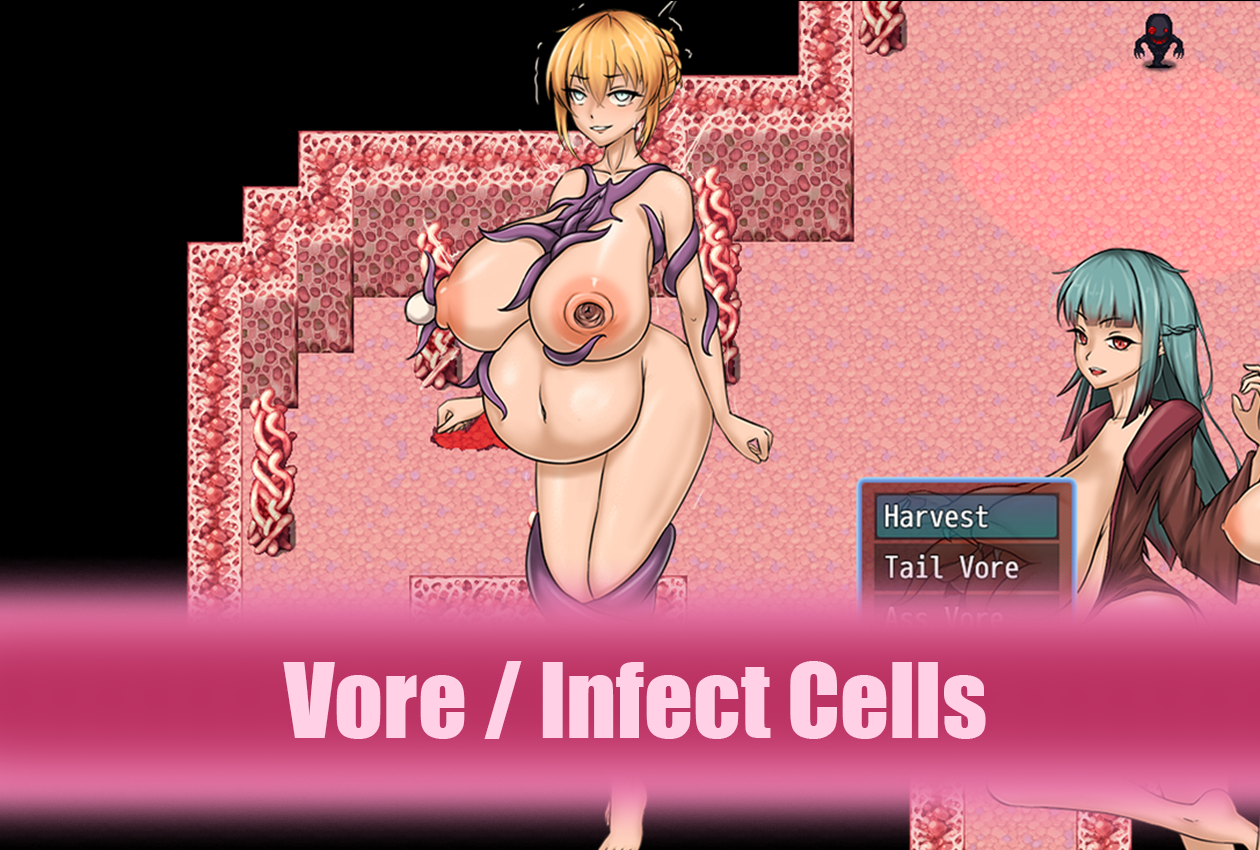 R-305-0.png